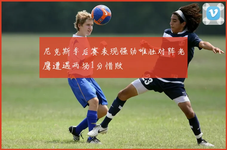 尼克斯季后赛表现强劲唯独对阵老鹰遭遇两场1分惜败
