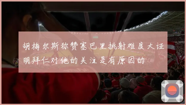 胡梅尔斯称赞塞巴里挑射难度大证明拜仁对他的关注是有原因的